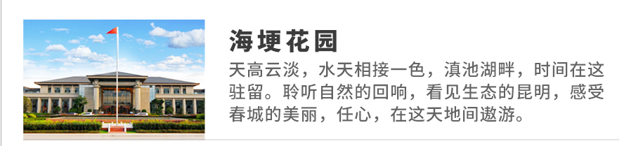 二级页下属品牌_01.jpg